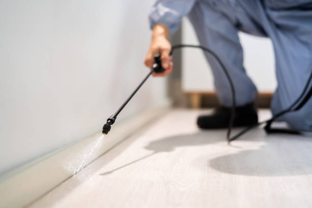 Licensed Pest Control service in Evansburg, PA - Show Me Pest Control
