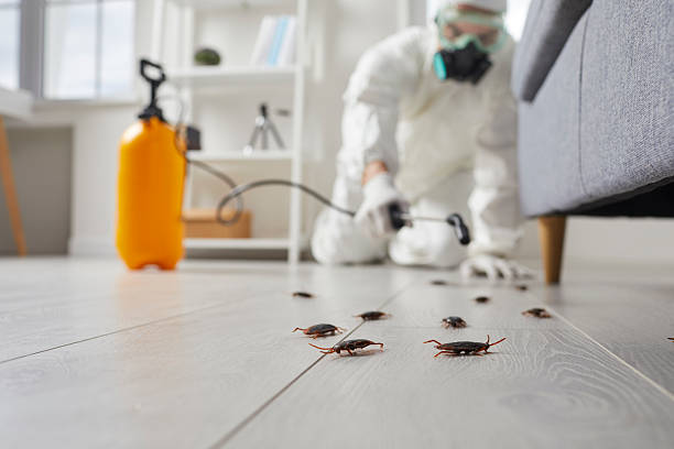 Commercial Kitchen Cockroach Control in Evansburg